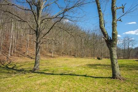 Offering #2 - Creek Front Recreational Land for Sale - image 20
