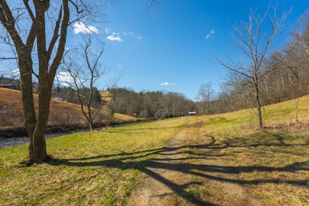 Offering #2 - Creek Front Recreational Land for Sale - image 6