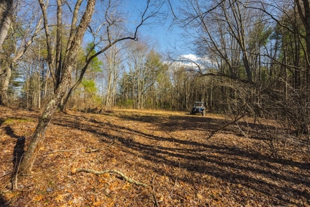 Offering #2 - Creek Front Recreational Land for Sale - image 38