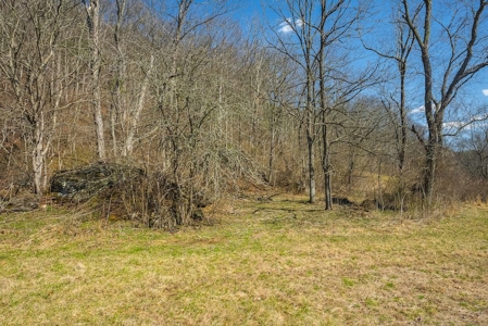 Offering #2 - Creek Front Recreational Land for Sale - image 11