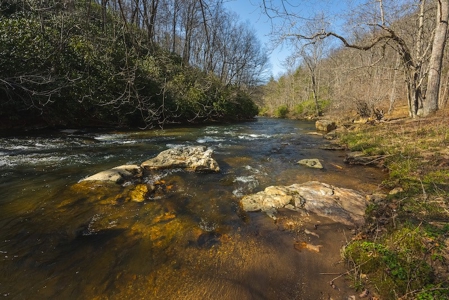 Offering #2 - Creek Front Recreational Land for Sale - image 29