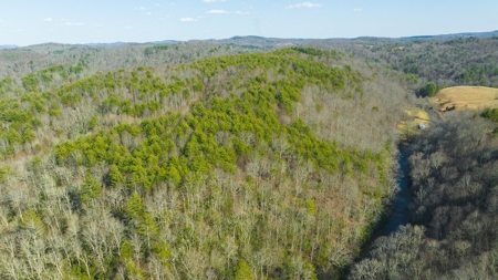 Offering #2 - Creek Front Recreational Land for Sale - image 2
