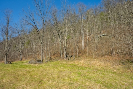 Offering #2 - Creek Front Recreational Land for Sale - image 12