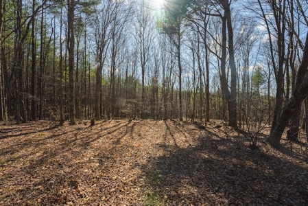 Offering #2 - Creek Front Recreational Land for Sale - image 37