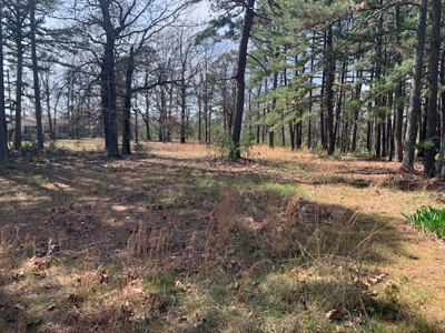 10 Acres With Nice Country Home Yellville, Ar - image 9