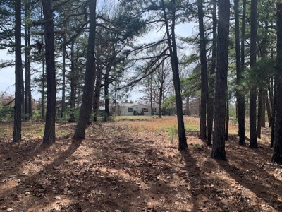10 Acres With Nice Country Home Yellville, Ar - image 12