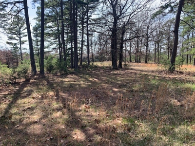 10 Acres With Nice Country Home Yellville, Ar - image 8