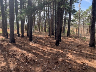 10 Acres With Nice Country Home Yellville, Ar - image 15