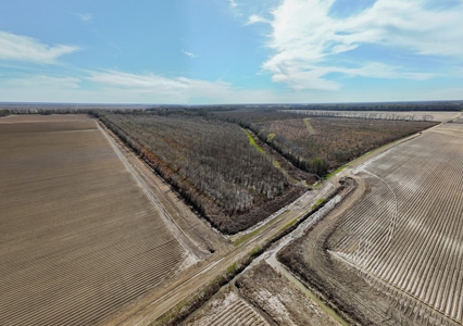 Bayou Macon 185 West Carroll Parish Land for Sale - image 7