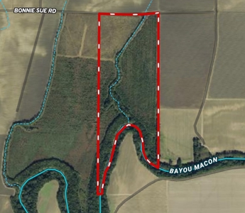 Bayou Macon 185 West Carroll Parish Land for Sale - image 30