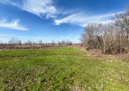 Bayou Macon 185 West Carroll Parish Land for Sale - image 4