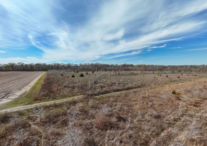 Bayou Macon 185 West Carroll Parish Land for Sale - image 14