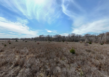 Bayou Macon 185 West Carroll Parish Land for Sale - image 27