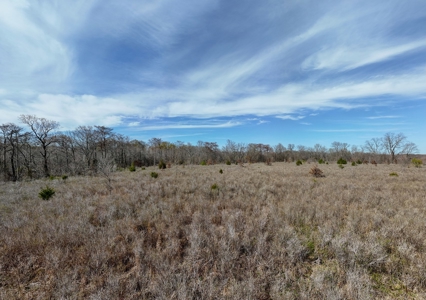 Bayou Macon 185 West Carroll Parish Land for Sale - image 22