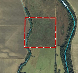 Bayou Macon 185 West Carroll Parish Land for Sale - image 32