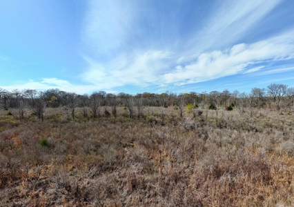 Bayou Macon 185 West Carroll Parish Land for Sale - image 18