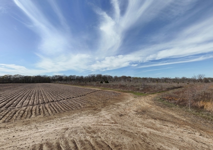 Bayou Macon 185 West Carroll Parish Land for Sale - image 28
