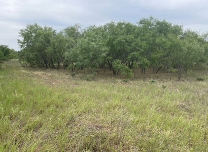 Acreage In Brown County Texas For Sale - image 1