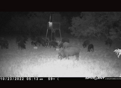 Acreage In Brown County Texas For Sale - image 2
