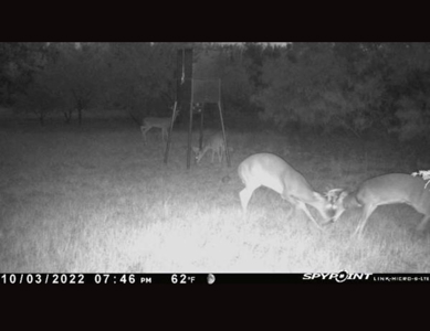 Acreage In Brown County Texas For Sale - image 3