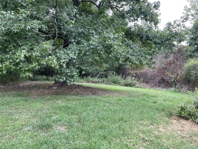 Country Home For Sale In Mcnairy County, Tn, 2 Ac+/- - image 43
