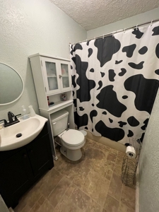 Country Home For Sale In Mcnairy County, Tn, 2 Ac+/- - image 12
