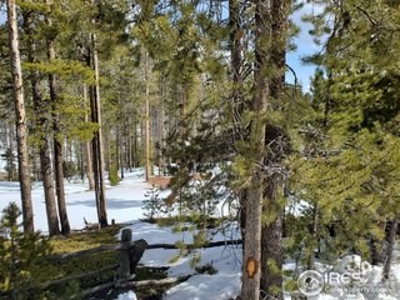 Perfect Spot to Camp or Glamp - image 7