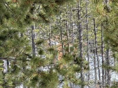Perfect Spot to Camp or Glamp - image 2