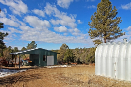 Beautiful Home on Acreage For Sale in Mancos. CO For Sale! - image 13