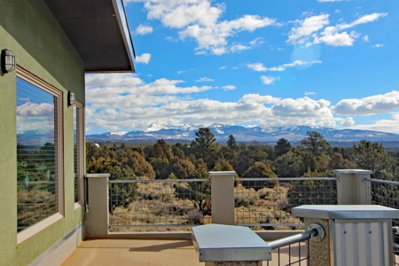 Beautiful Home on Acreage For Sale in Mancos. CO For Sale! - image 26