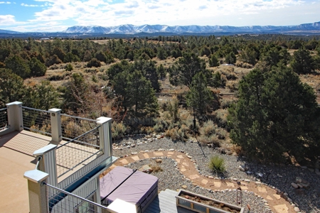 Beautiful Home on Acreage For Sale in Mancos. CO For Sale! - image 30