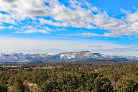 Beautiful Home on Acreage For Sale in Mancos. CO For Sale! - image 31