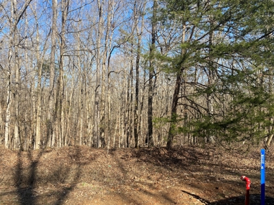 Land For Sale In River Resort In Clifton, Tn, Wooded - image 4