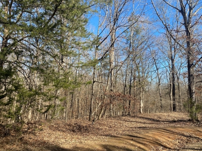 Land For Sale In River Resort In Clifton, Tn, Wooded - image 16