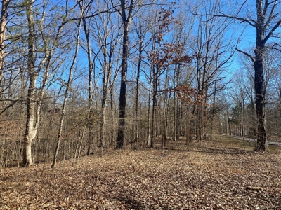 Land For Sale In River Resort In Clifton, Tn, Wooded - image 9