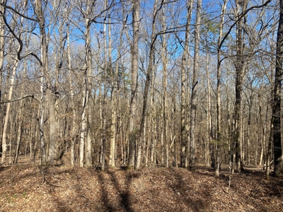 Land For Sale In River Resort In Clifton, Tn, Wooded - image 5