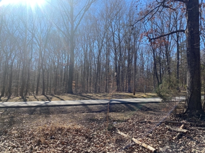 Land For Sale In River Resort In Clifton, Tn, Wooded - image 14