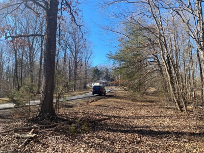 Land For Sale In River Resort In Clifton, Tn, Wooded - image 15