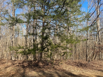 Land For Sale In River Resort In Clifton, Tn, Wooded - image 17