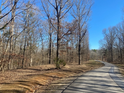 Land For Sale In River Resort In Clifton, Tn, Wooded - image 2