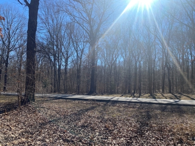 Land For Sale In River Resort In Clifton, Tn, Wooded - image 13