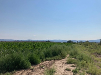 Farm Ground Land For Sale, Montrose, Colorado - image 9