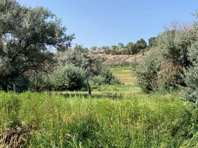 Farm Ground Land For Sale, Montrose, Colorado - image 12