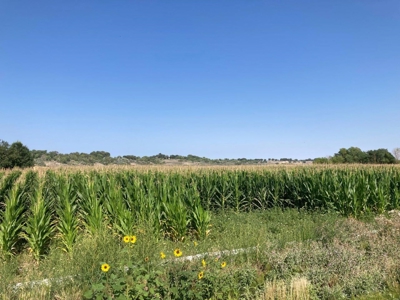 Farm Ground Land For Sale, Montrose, Colorado - image 6