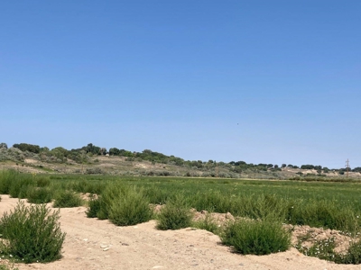 Farm Ground Land For Sale, Montrose, Colorado - image 18