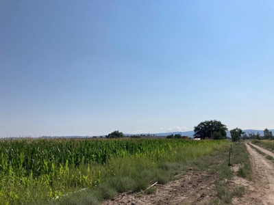 Farm Ground Land For Sale, Montrose, Colorado - image 16