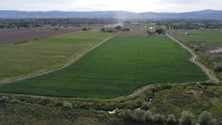 Farm Ground Land For Sale, Montrose, Colorado - image 1