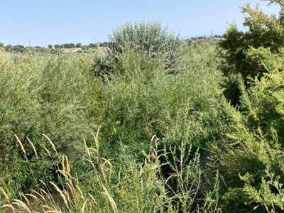 Farm Ground Land For Sale, Montrose, Colorado - image 11