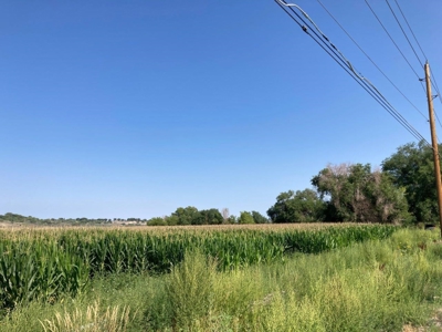 Farm Ground Land For Sale, Montrose, Colorado - image 5