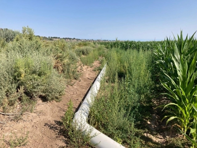 Farm Ground Land For Sale, Montrose, Colorado - image 2